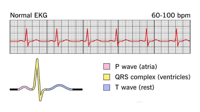 Cardiology Department
